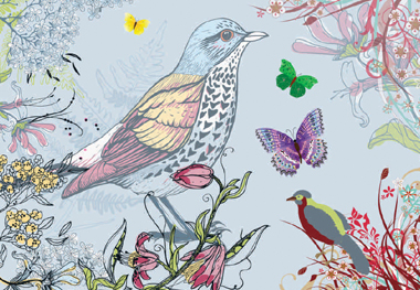 birds & nature